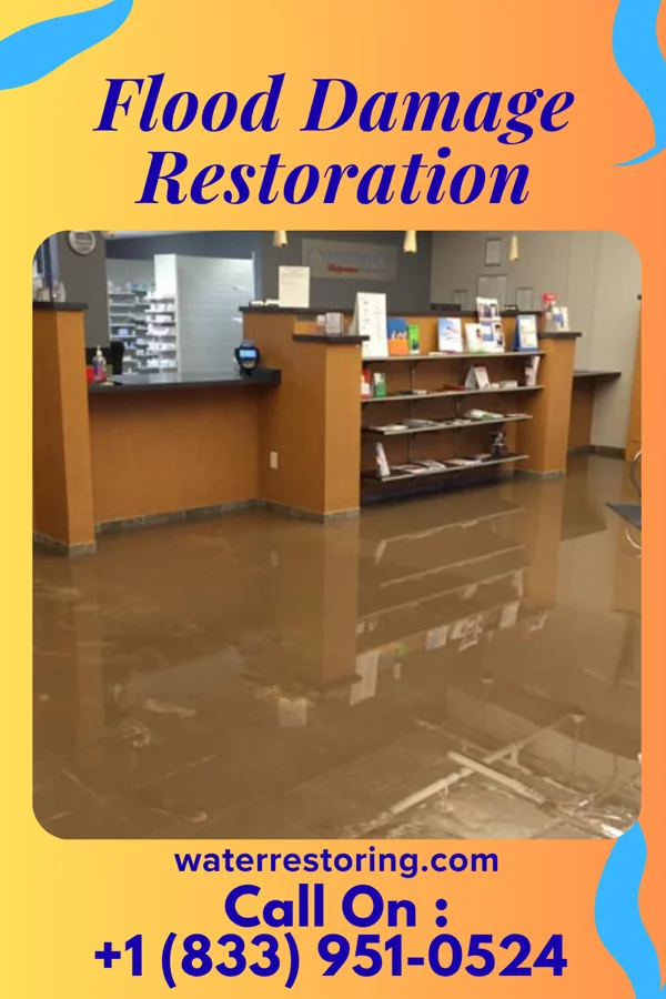 Flood Damage Restoration in Williamsburg, VA