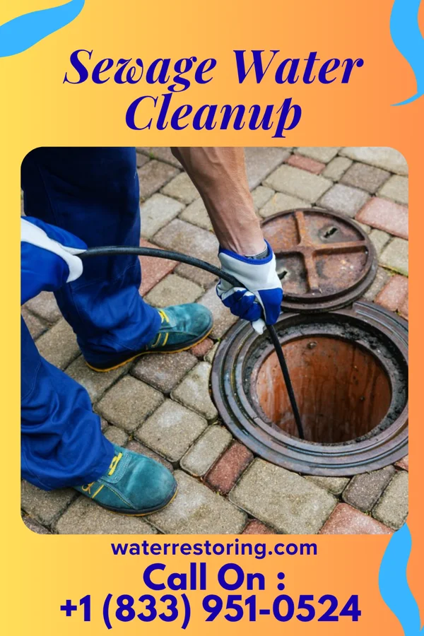 Sewage Water Cleanup in Williamsburg, VA