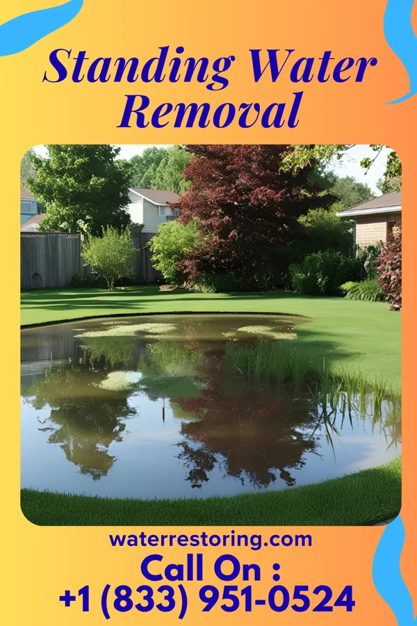 Standing Water Removal in Williamsburg, VA